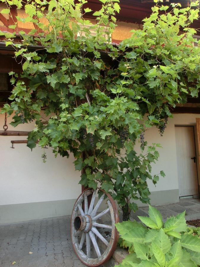 Zehnthof Geldersheim Exterior foto
